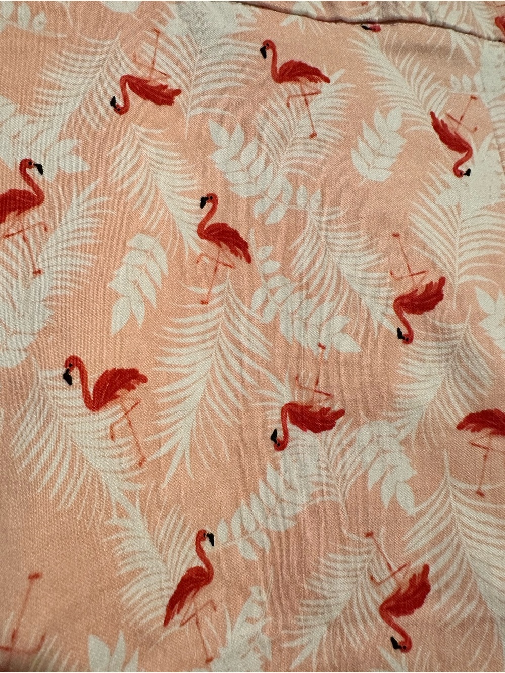 18W FLAMINGO SHORTS Briggs New York Coral Pink Bermuda STRETCHY TWILL 2X DRESSY